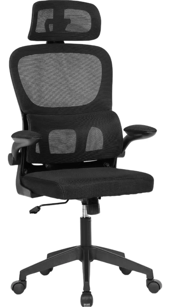 ergo NR17